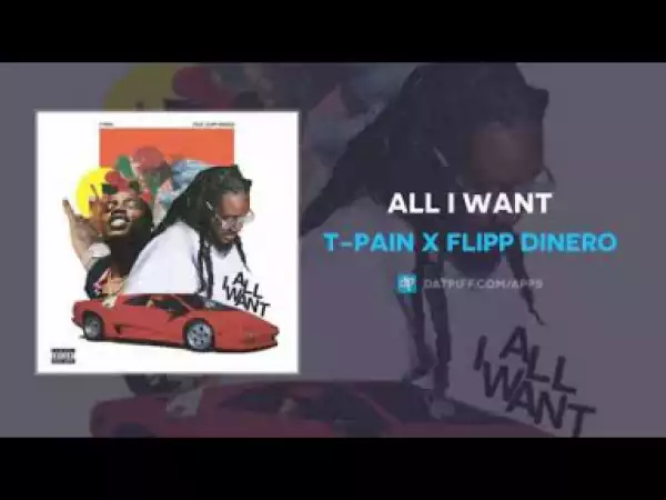 T-Pain - All I Want ft Flipp Dinero